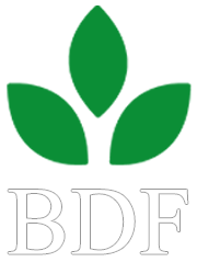 Bodoland Development Foundation